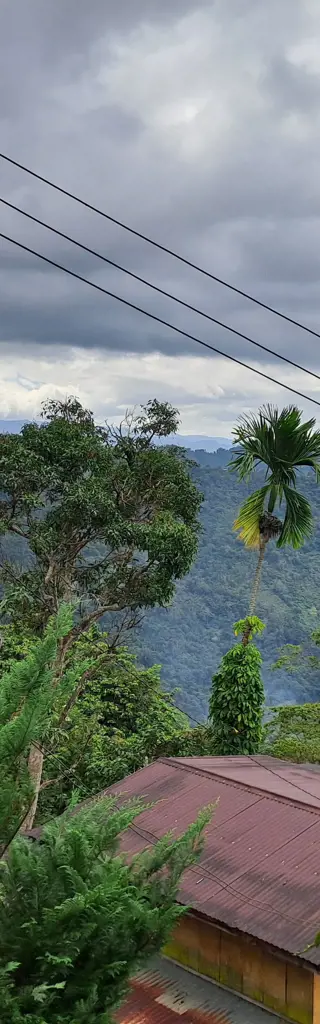 Borneo – magische Tierbegegnungen auf der riesengrossen Insel